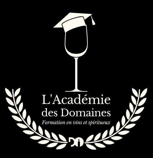 academie des domaines interface